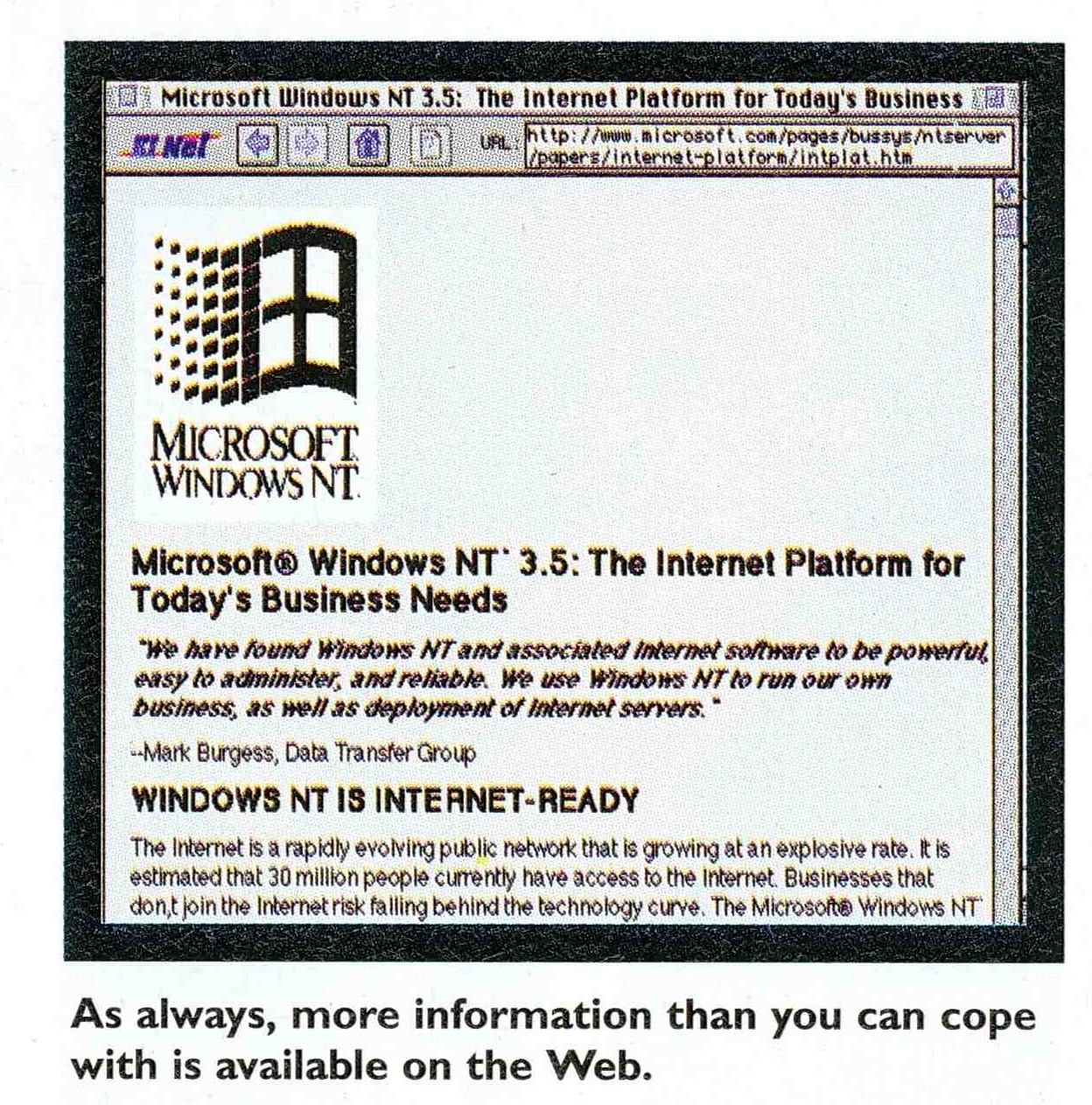 windows nt browser