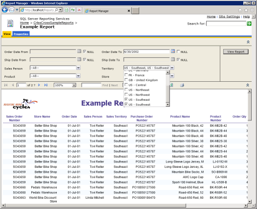 report manager